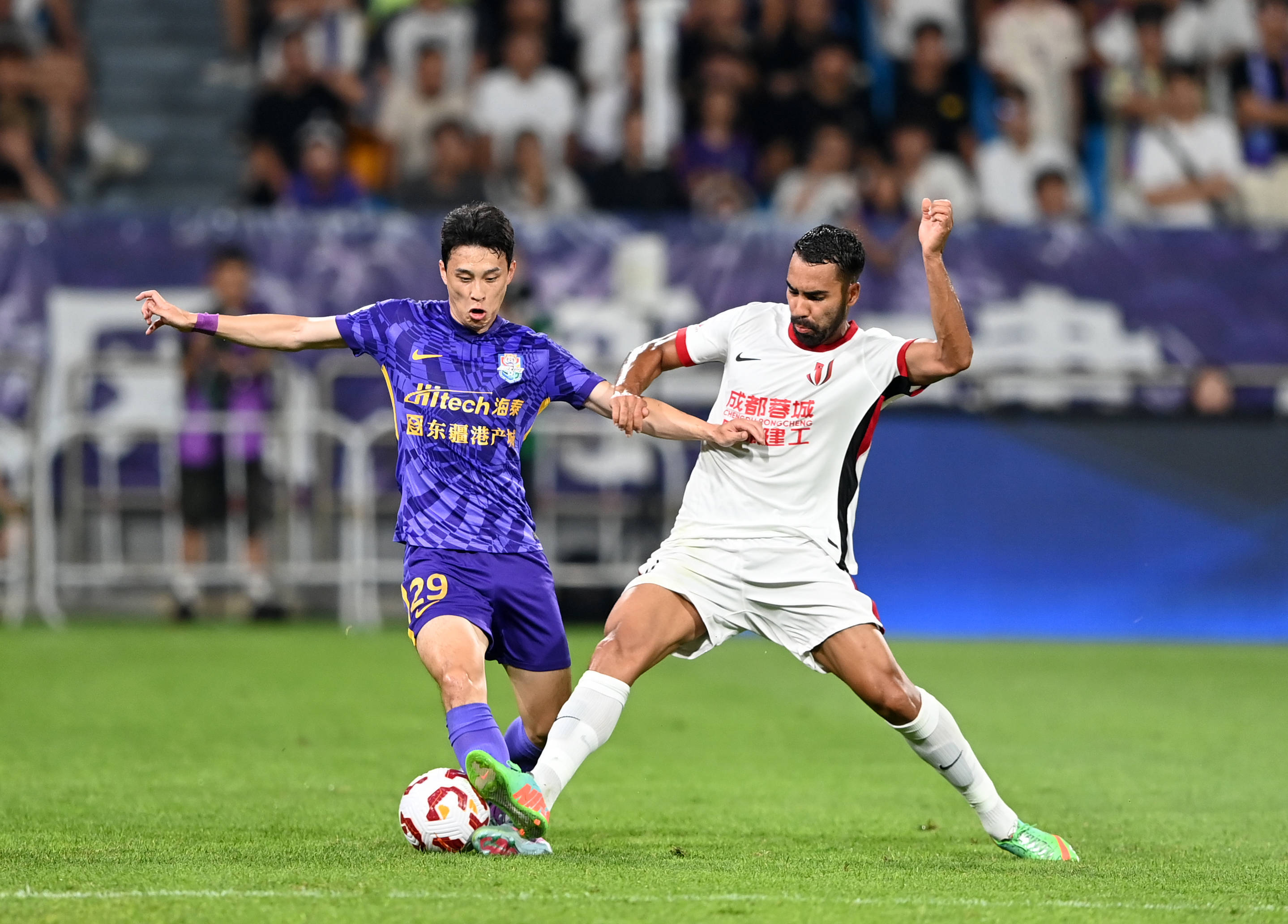 数已创下了 数已创下了