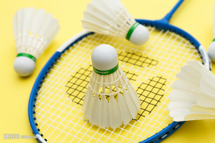 部分顶级巡 部分顶级巡