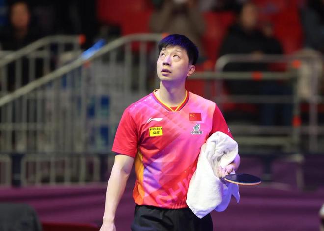 掩护坚果牌 掩护坚果牌